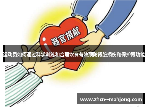 运动员如何通过科学训练和合理饮食有效预防肾脏损伤和保护肾功能 运动员如何通过科学训练和合理饮食有效预防肾脏损伤和保护肾功能